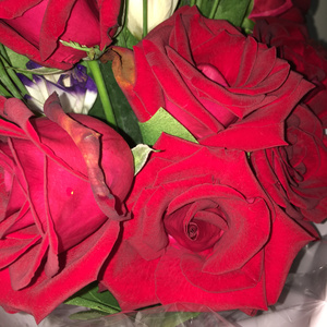 淫人妻视频网站
