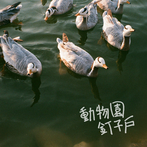 淫人妻视频网站
